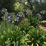 Les Toiles Du 15 Frühstückspension 4*