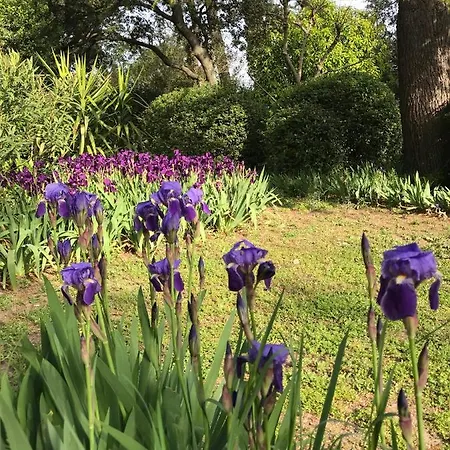 Les Toiles Du 15 Bed & Breakfast 4*