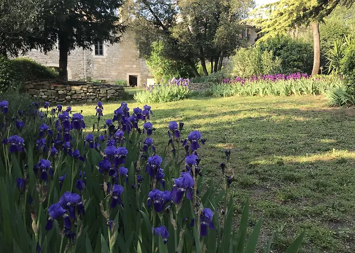 Les Toiles Du 15 4* Montaren-et-Saint-Mediers